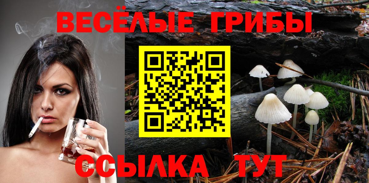 Галлюциногенные грибы прущие грибы  наркошоп  Галлюциногенные грибы GOLDEN TEACHER  Димитровград  Вход с VPN 